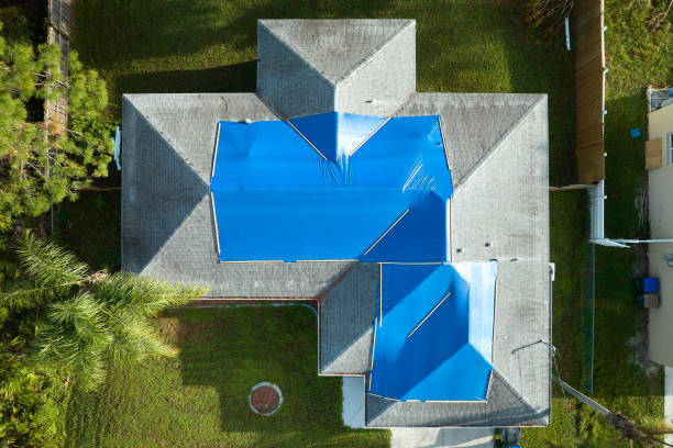 Best Roof Maintenance and Cleaning  in Trenton, OH