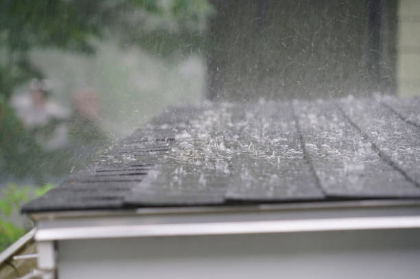 Best Roof Moss and Algae Removal  in Trenton, OH
