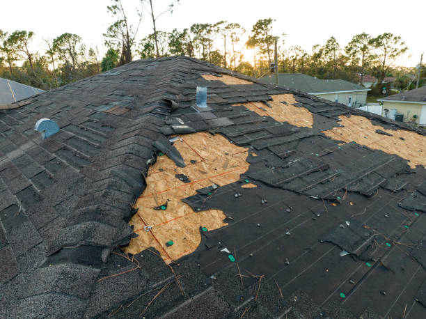 Best Skylight Installation and Repair  in Trenton, OH