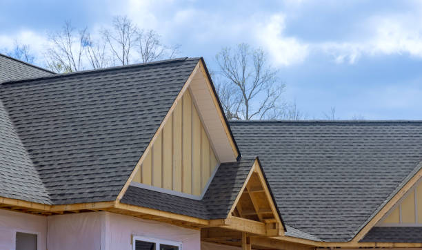 Best Chimney Flashing Repair  in Trenton, OH